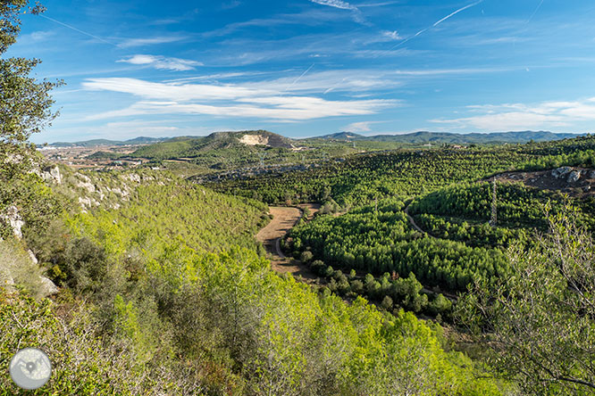 Circular por la Montaña de Olèrdola 1 