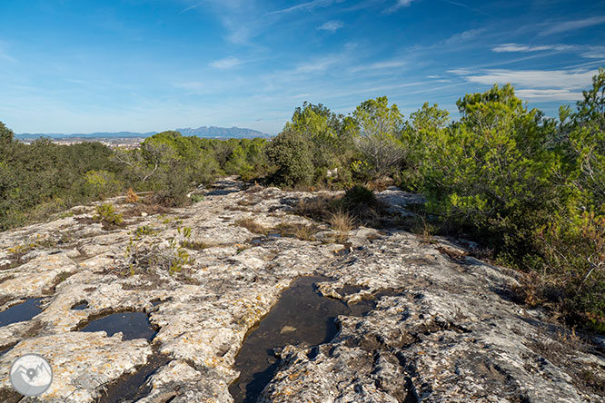 Circular por la Montaña de Olèrdola 1 