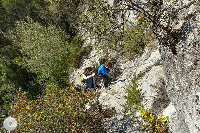 Circular por la Montaña de Olèrdola 1 