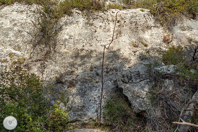 Circular por la Montaña de Olèrdola 1 