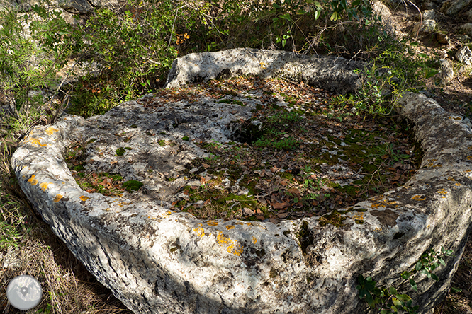 Circular por la Montaña de Olèrdola 1 