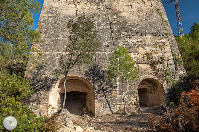 Circular por la Montaña de Olèrdola 1 