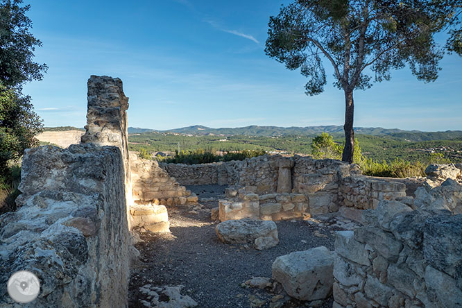 Circular por la Montaña de Olèrdola 1 