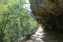 Cueva de Frachinal.