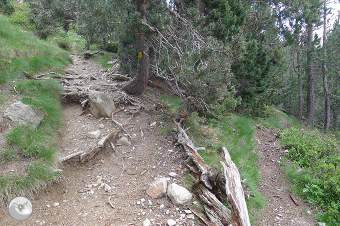 Ruta circular por los lagos de Néouvielle 1 