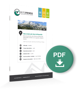 pdf-ruta