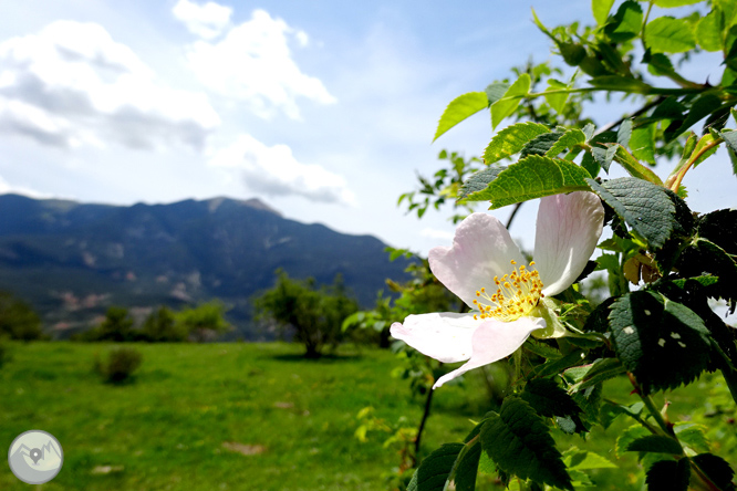 Pedraforca 360 1 