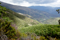 Bosque de Tolzó y valle de Escós.