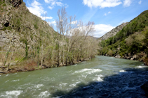 La Noguera Pallaresa en el estrecho de Arboló.