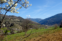 Prados de pasto en el valle del Noguera Pallaresa.