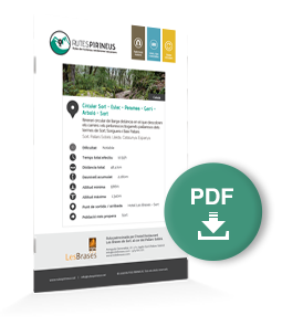 pdf-ruta