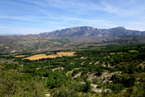 Vistas del robledal de Aulàs y la sierra de Sant Gervàs desde Sapeira.