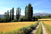 La fuente de las Basses, un rincón húmedo en medio de campos.