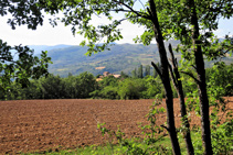 La Torre del Senyor entre campos y robles.