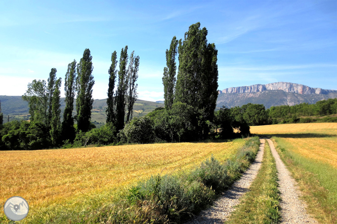 Ruta circular por la Terreta desde Sapeira 1 