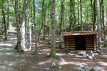 Cabaña en el bosque de hayas.