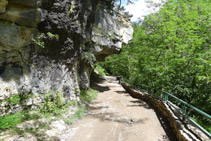 Cueva de Frachinal.