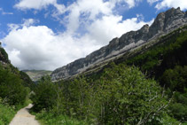 Camino del valle de Ordesa.