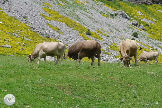 Cola de Caballo por las gradas de Soaso 1 