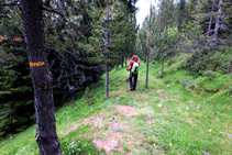 Empezamos la bajada por el bosque de la Obaga de Os.