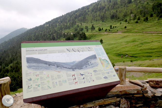 Collado de Conflent en Os de Civís 1 