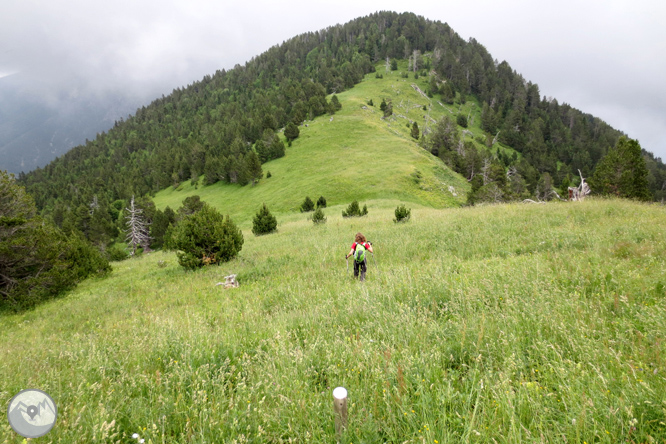 Collado de Conflent en Os de Civís 1 