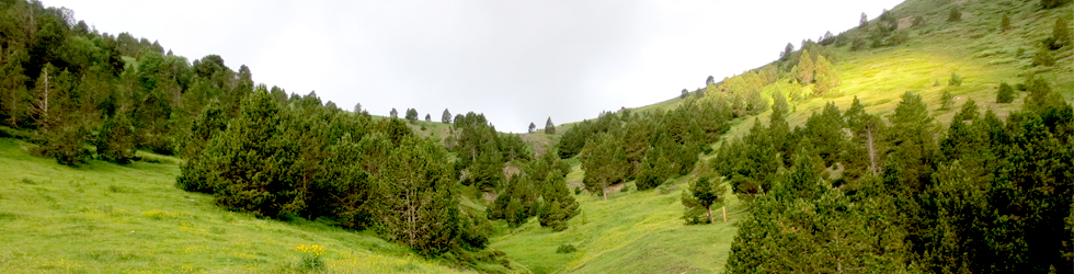 Collado de Conflent en Os de Civís