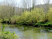 El desfiladero del Ter y la montaña de los Sants Metges