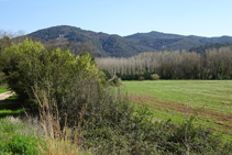 Campos de cereales y montaña del Congost.