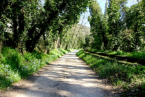 Acequia de Sant Jordi.