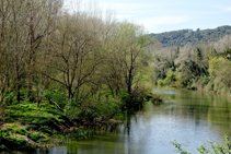 El Ter en Sant Julià de Ramis.