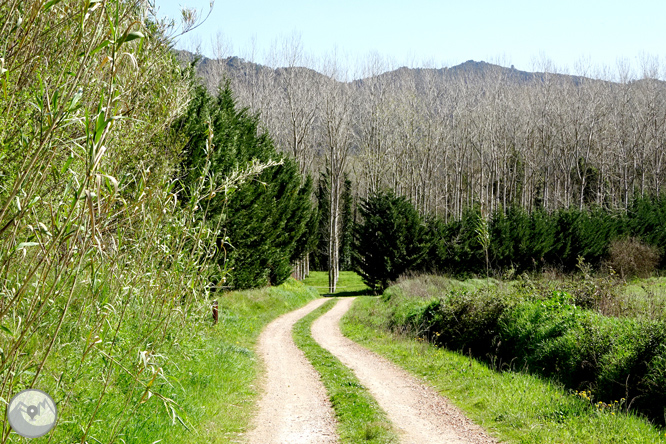 El desfiladero del Ter y la montaña de los Sants Metges 1 