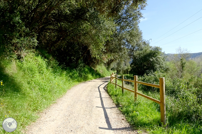 El desfiladero del Ter y la montaña de los Sants Metges 1 