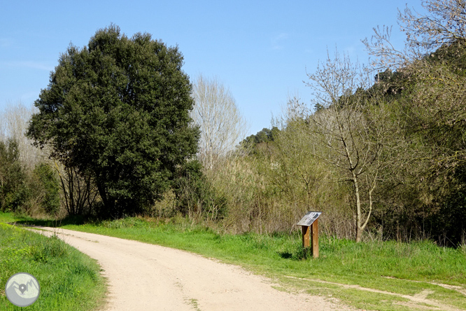 El desfiladero del Ter y la montaña de los Sants Metges 1 