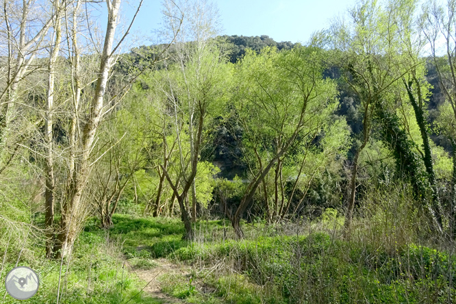 El desfiladero del Ter y la montaña de los Sants Metges 1 