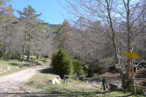 Pista de tierra.