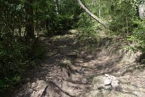 Subimos por un camino marcado con hitos de piedras.