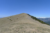 Subimos por la loma redondeada hacia la cumbre del Costa Pubilla.