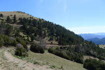 Pista de tierra que baja hacia el collado de Meians.