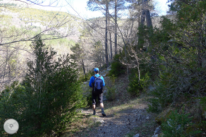 Costa Pubilla o Pla de Pujalts (2.056m) en el Montgrony 1 