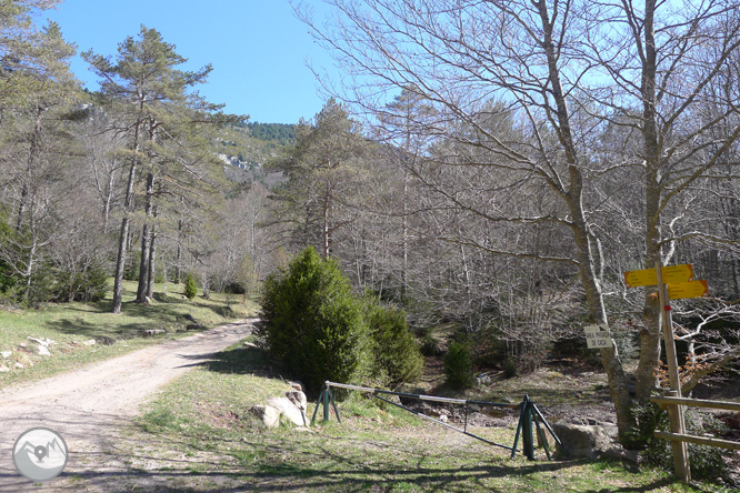 Costa Pubilla o Pla de Pujalts (2.056m) en el Montgrony 1 