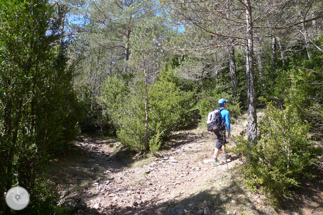 Costa Pubilla o Pla de Pujalts (2.056m) en el Montgrony 1 