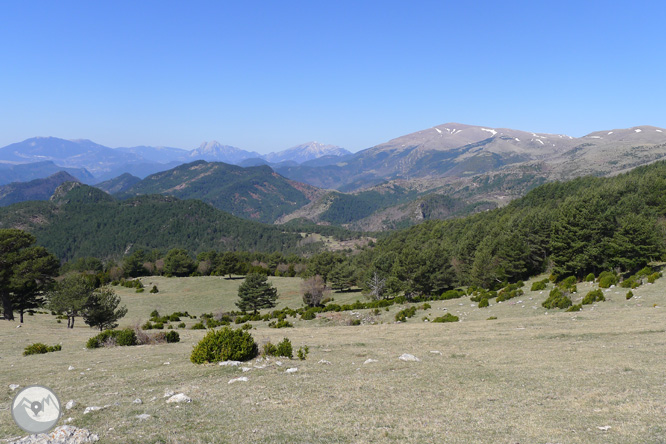 Costa Pubilla o Pla de Pujalts (2.056m) en el Montgrony 1 