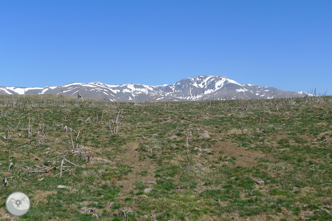 Costa Pubilla o Pla de Pujalts (2.056m) en el Montgrony 1 