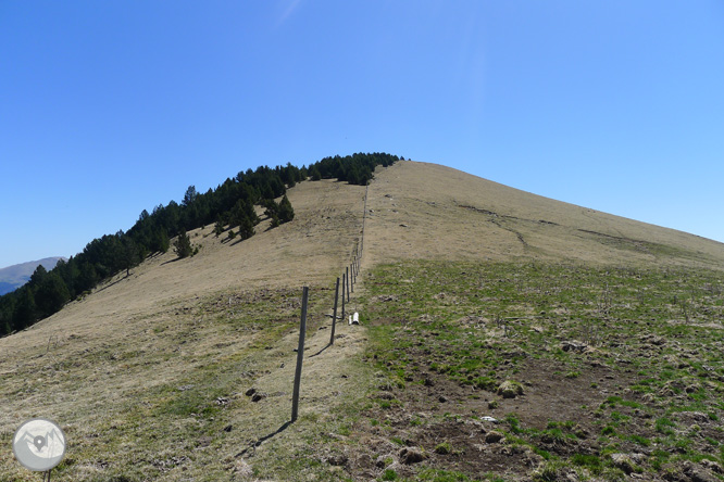 Costa Pubilla o Pla de Pujalts (2.056m) en el Montgrony 1 