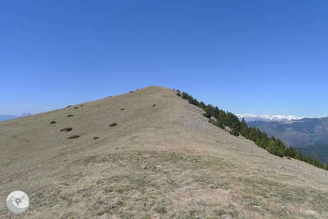 Costa Pubilla o Pla de Pujalts (2.056m) en el Montgrony 1 