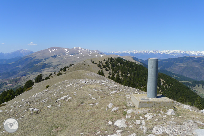 Costa Pubilla o Pla de Pujalts (2.056m) en el Montgrony 1 