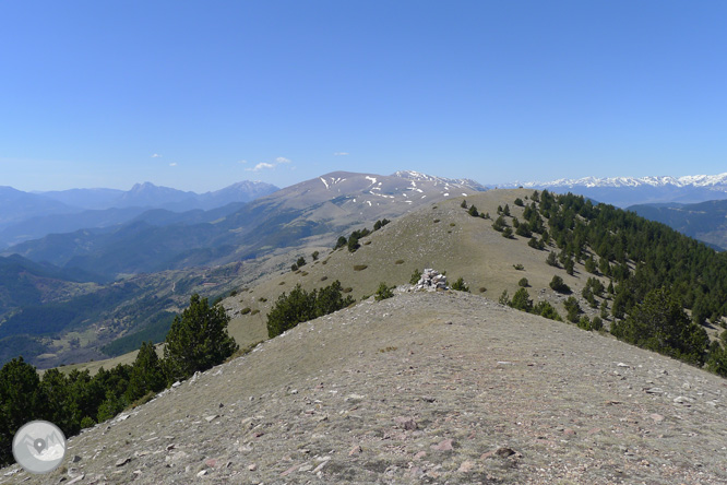 Costa Pubilla o Pla de Pujalts (2.056m) en el Montgrony 1 