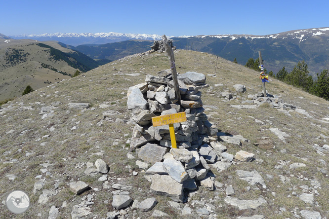 Costa Pubilla o Pla de Pujalts (2.056m) en el Montgrony 1 