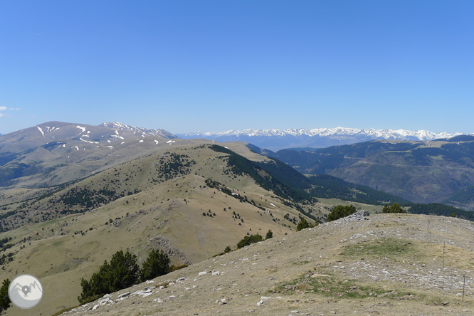 Costa Pubilla o Pla de Pujalts (2.056m) en el Montgrony 1 